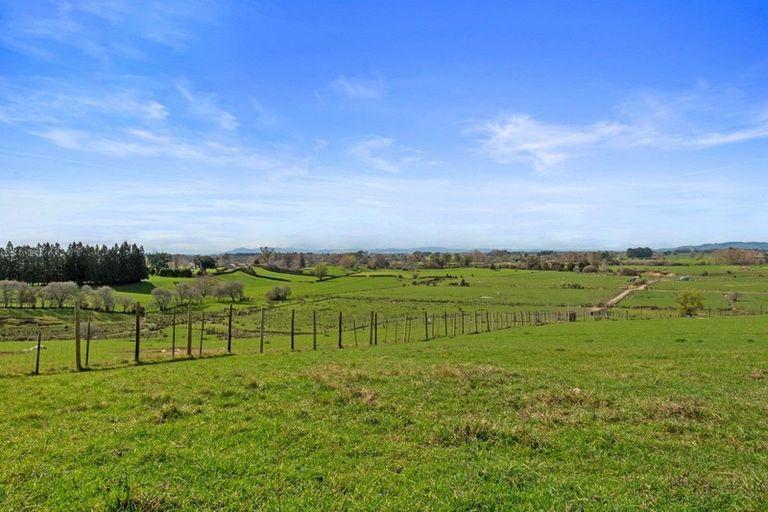 Photo of property in 3983 Ohaupo Road, Ohaupo, 3881