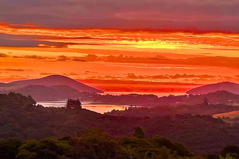 Photo of property in 800 Buffalo Road, Coromandel, 3506