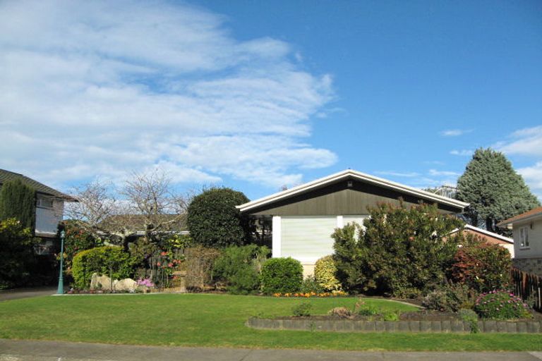 Photo of property in 111 Ballantyne Street, Frimley, Hastings, 4120