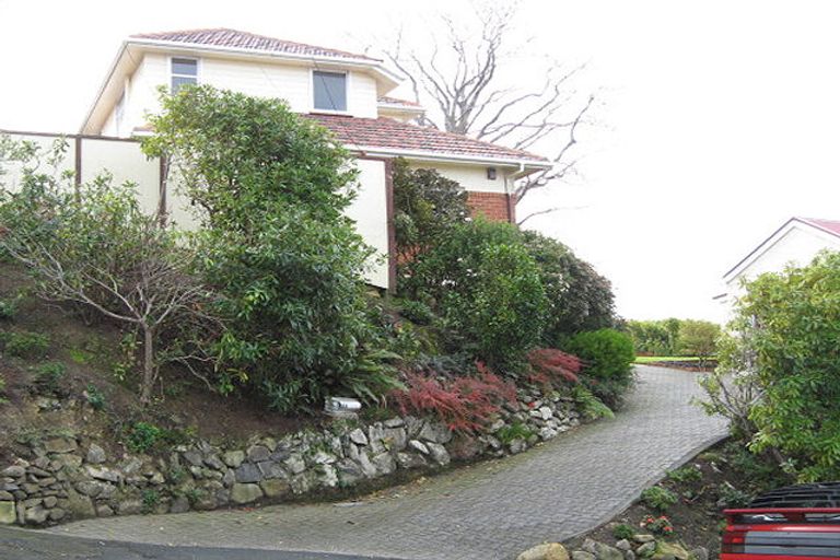 Photo of property in 21 Leven Street, Roslyn, Dunedin, 9010