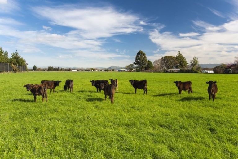 Photo of property in 637 Tucker Road, Waerengaahika, Gisborne, 4071