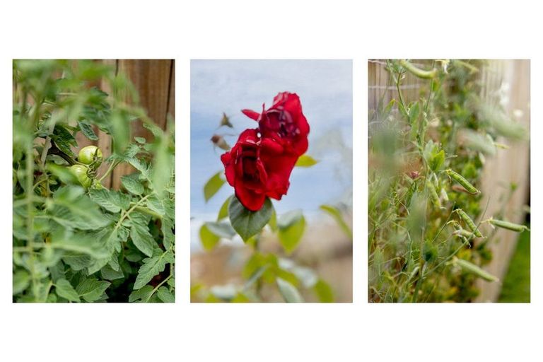 Photo of property in 8 Paua Cove, Papamoa Beach, Papamoa, 3118