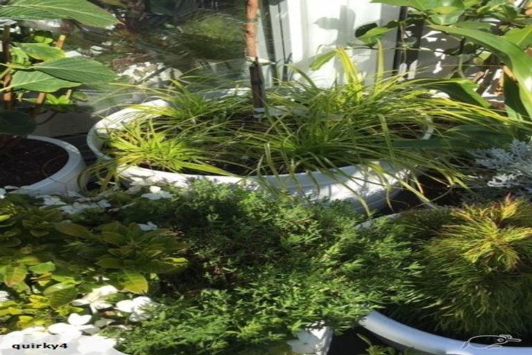 Photo of property in 25 Red Beech Avenue, Woodridge, Wellington, 6037