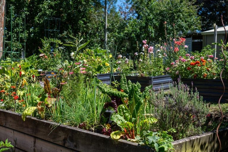 Photo of property in 202 Ngamotu Road, Rerewhakaaitu, Rotorua, 3073