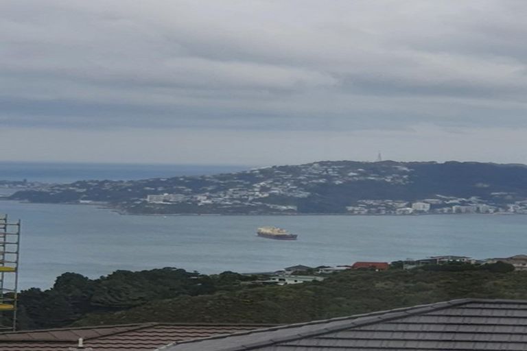 Photo of property in 9a Grumman Lane, Newlands, Wellington, 6037