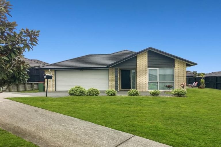 Photo of property in 12 Rigg Place, Flagstaff, Hamilton, 3210