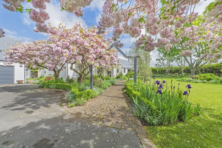 Photo of property in 11 Mountain View Place, Leeston, 7632