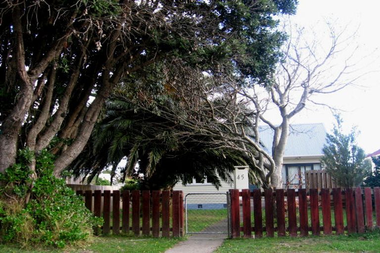 Photo of property in 45 Riverside Drive, Waiwhetu, Lower Hutt, 5010