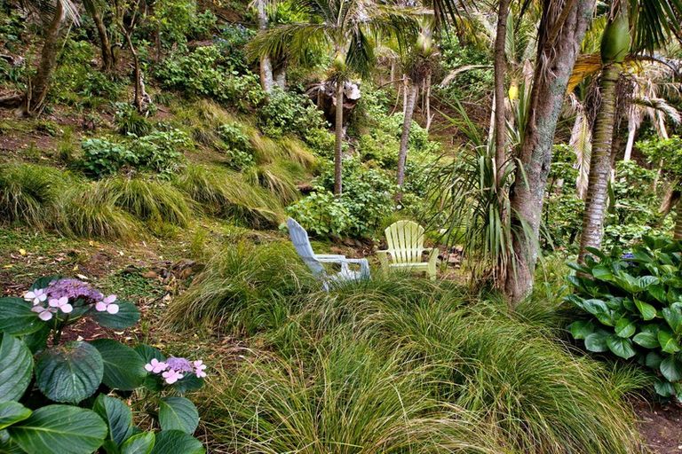 Photo of property in 54 Beach Valley Road, Piha, New Lynn, 0772