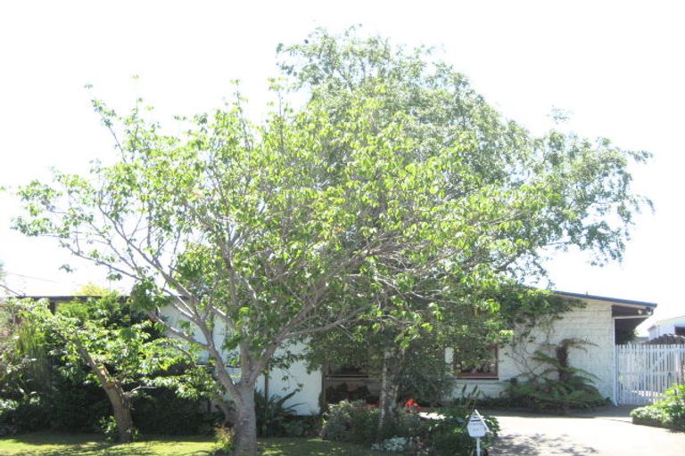 Photo of property in 73 Bickerton Street, Wainoni, Christchurch, 8061