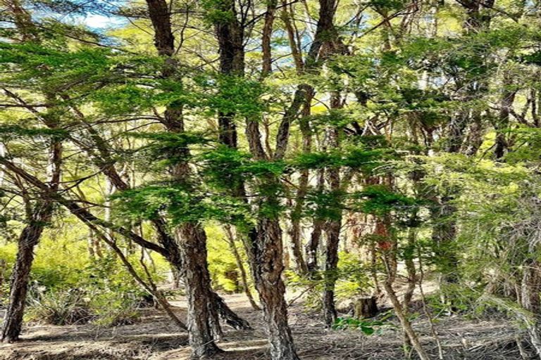 Photo of property in 132 Kokako Heights, Matata, 3194