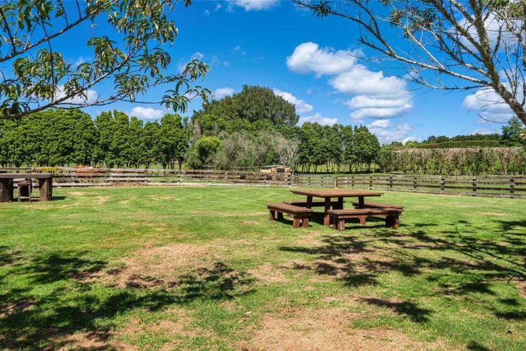 Photo of property in 597d Omanawa Road, Omanawa, Tauranga, 3171