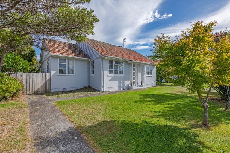 Photo of property in 32 Tweed Street, Roslyn, Palmerston North, 4414