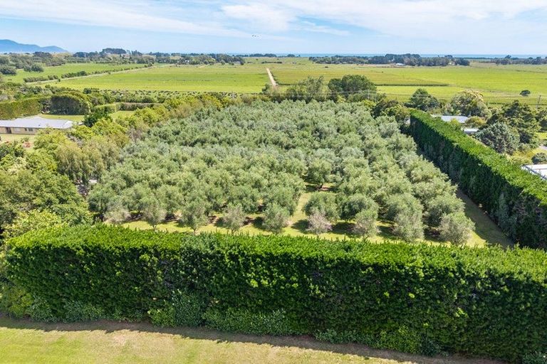 Photo of property in 134 Te Waka Road, Te Horo, Otaki, 5581