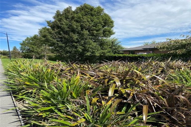Photo of property in 5 Te Waikare Street, Lincoln, 7608