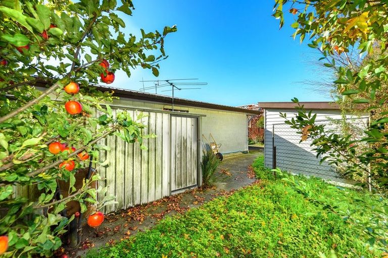 Photo of property in 14 Maurice Street, Lincoln, 7608