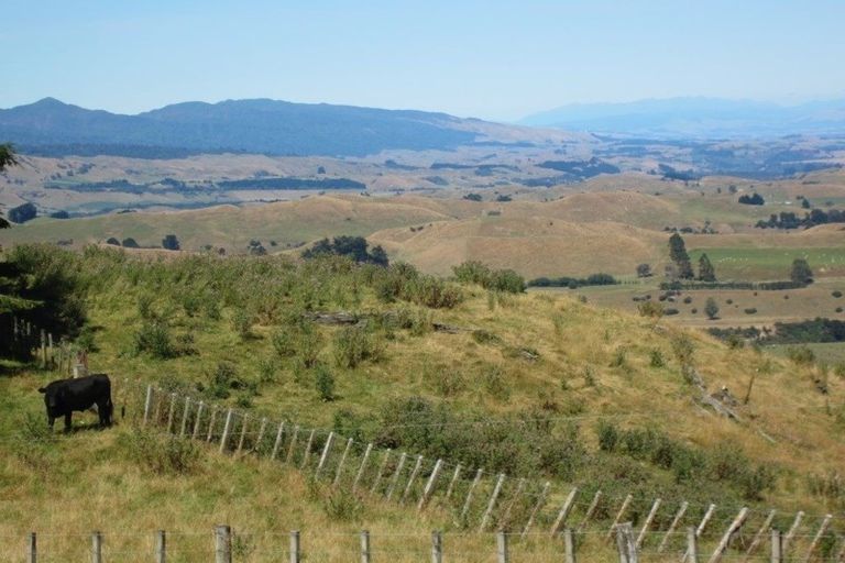 Photo of property in 842 Table Flat Road, Apiti, 4774