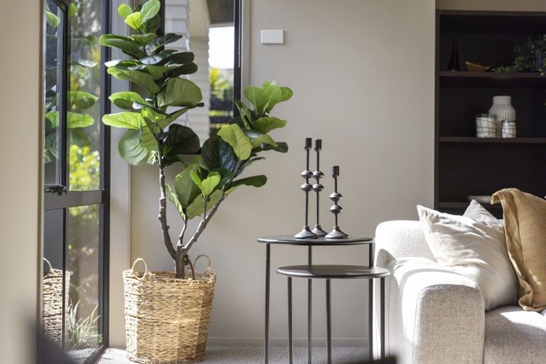 Photo of property in 35 Bellbird Rise, Pyes Pa, Tauranga, 3112