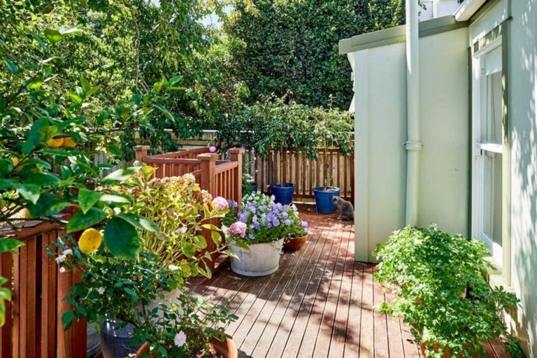 Photo of property in 17 Mahoe Street, Eastbourne, Lower Hutt, 5013