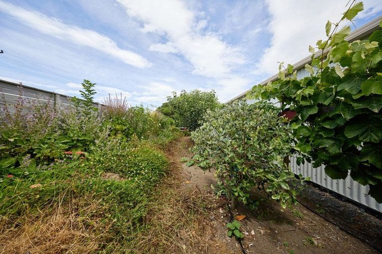 Photo of property in 219 Beach Road, Kaikoura, 7300