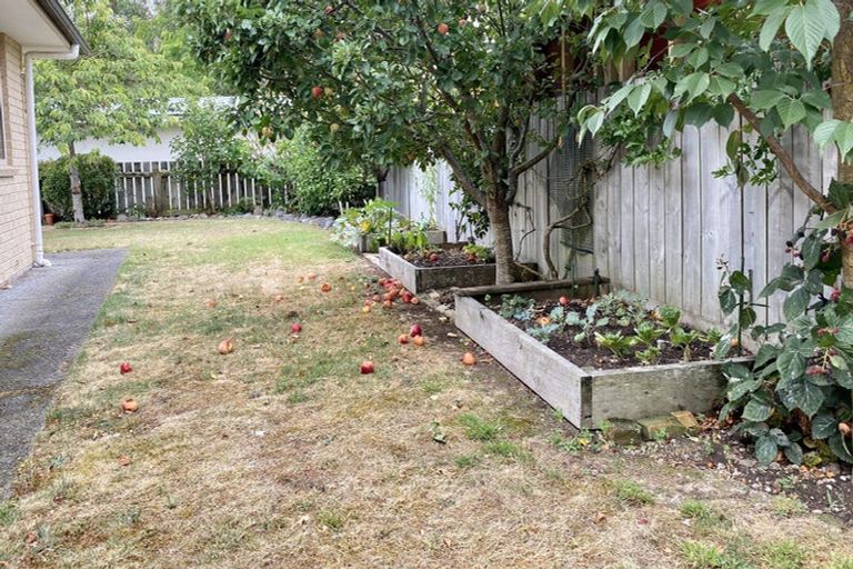 Photo of property in 11 Hilton Road, Carterton, 5713