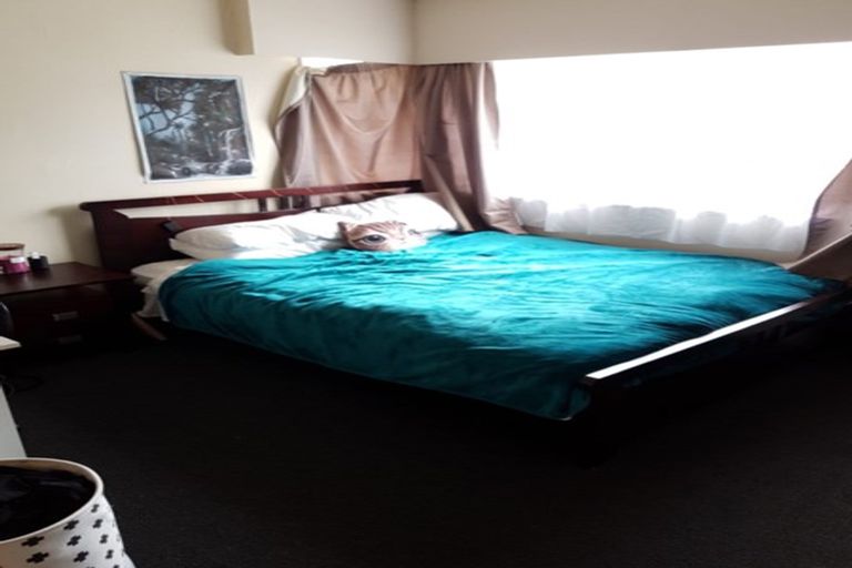 Photo of property in 30g Hogan Street, Hamilton East, Hamilton, 3216