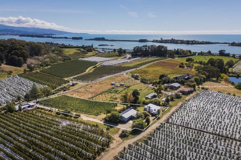 Photo of property in 89 Weka Road, Tasman, Upper Moutere, 7175