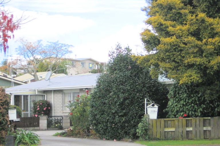 Photo of property in 119a Otumoetai Road, Brookfield, Tauranga, 3110