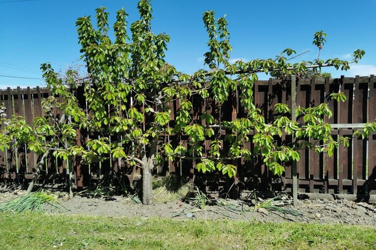 Photo of property in 43 Farrington Avenue, Bishopdale, Christchurch, 8053