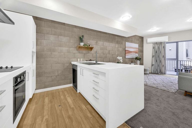 Photo of property in 3uj Papawai Terrace, Mount Cook, Wellington, 6021