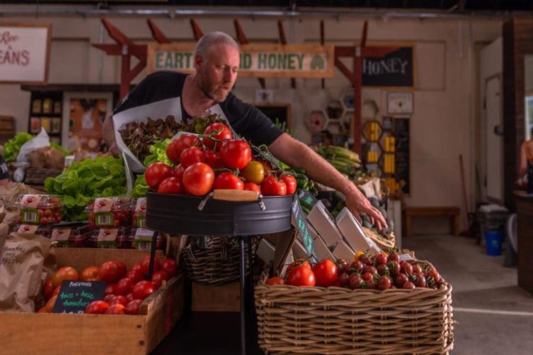 Photo of property in 9 Golden Fall Road, Hobsonville, 0616