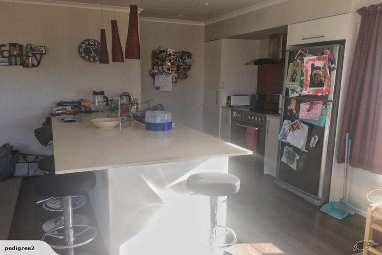 Photo of property in 41 Velma Road, Hillcrest, Auckland, 0627