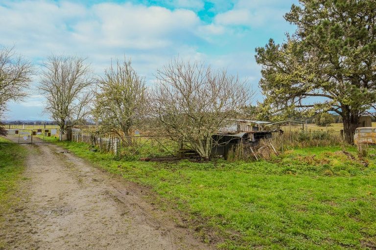 Photo of property in 854 Nelson Creek Road, Hochstetter, Dobson, 7872