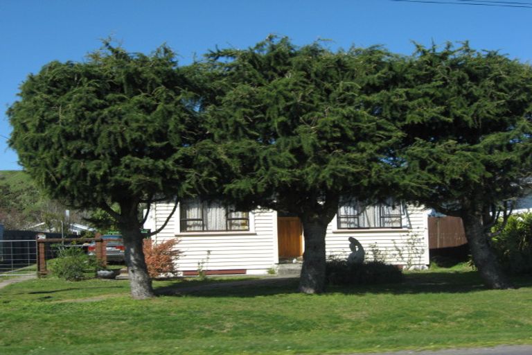 Photo of property in 51 Mclean Street, Wairoa, 4108