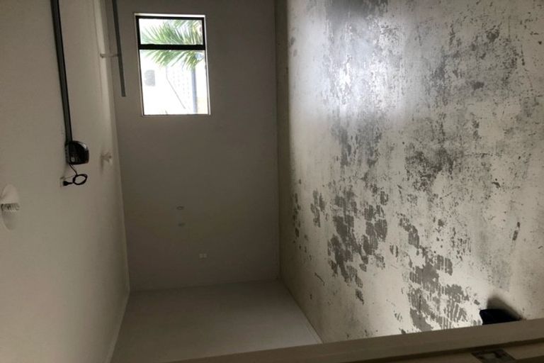 Photo of property in 9 Ksenia Drive, Flat Bush, Auckland, 2019