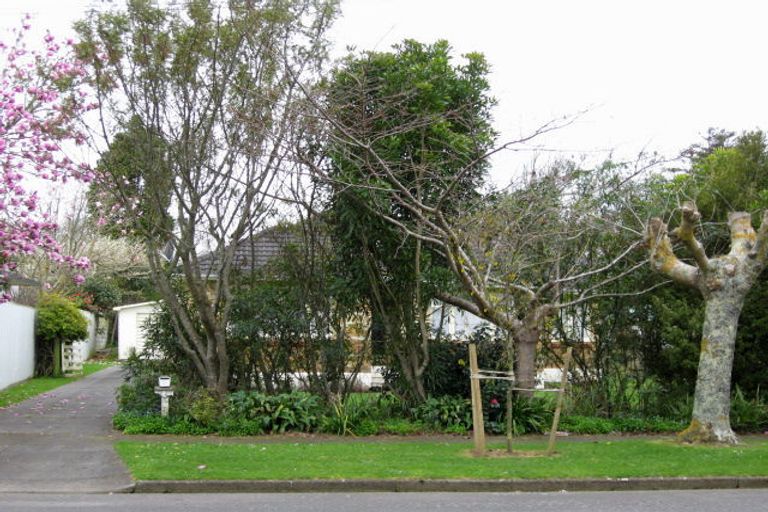 Photo of property in 15 Hobson Street, Levin, 5510