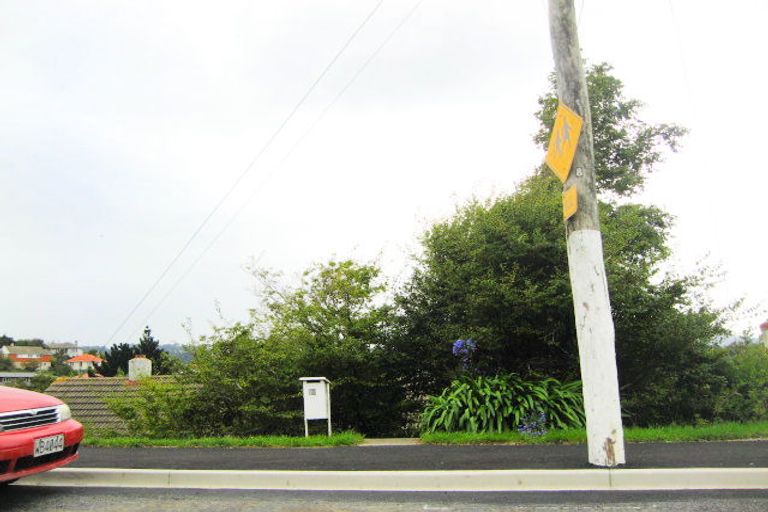 Photo of property in 18 Panmure Avenue, Calton Hill, Dunedin, 9012