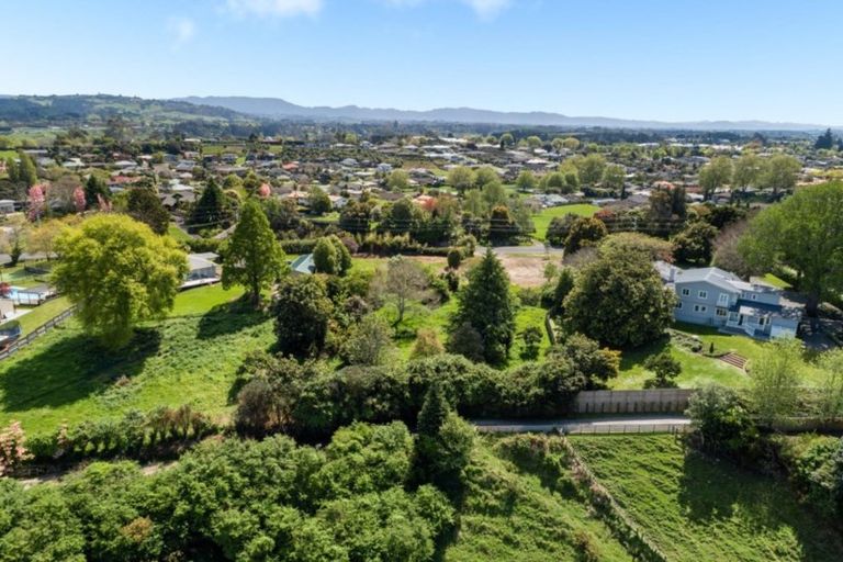 Photo of property in 288 Cambridge Road, Bethlehem, Tauranga, 3110
