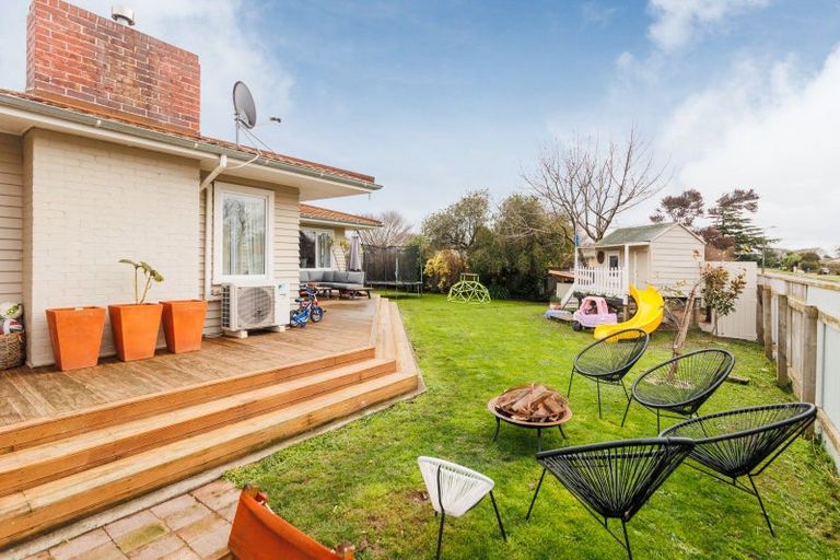 Photo of property in 38 Liverpool Street, Takaro, Palmerston North, 4412