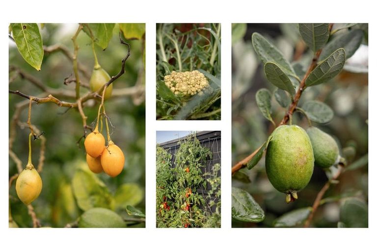 Photo of property in 197a Omokoroa Road, Omokoroa, 3114