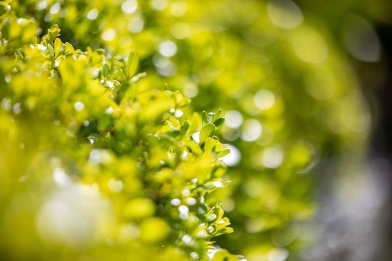 Photo of property in 11b Yanicks Crescent, Fitzroy, Hamilton, 3206