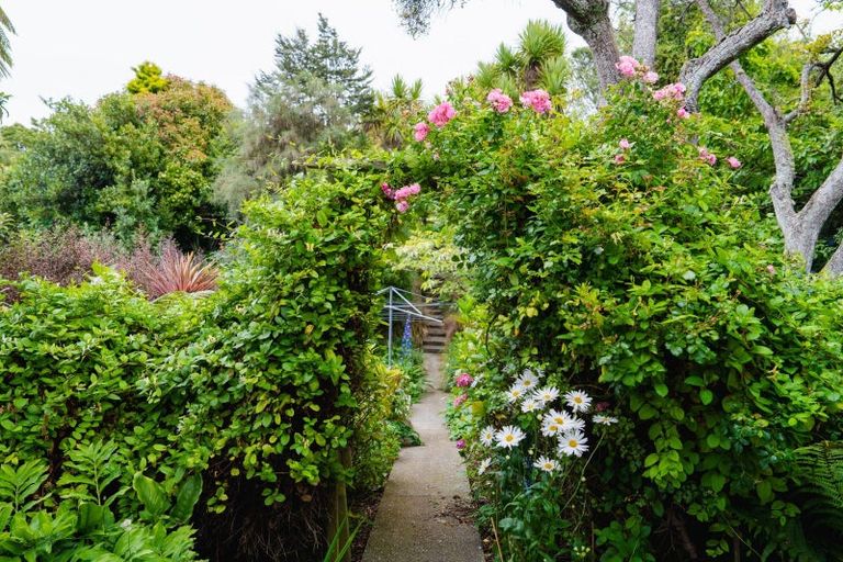 Photo of property in 61 Cannington Road, Maori Hill, Dunedin, 9010