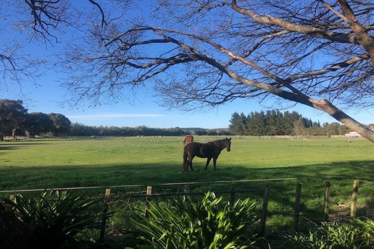 Photo of property in 356 Waldon Road, Dartmoor, Napier, 4186