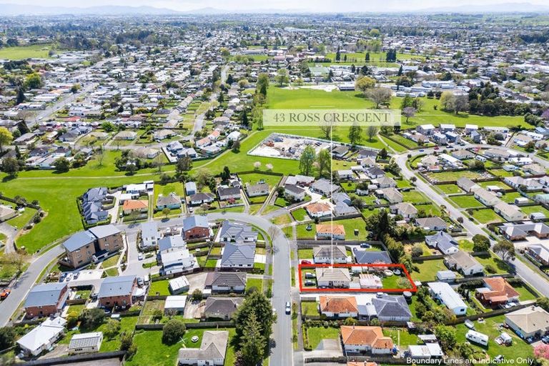 Photo of property in 43 Ross Crescent, Fairfield, Hamilton, 3214