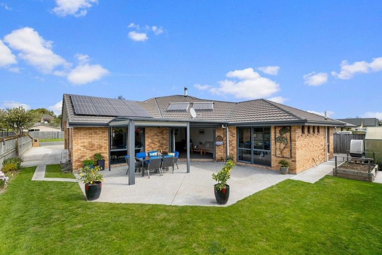 Photo of property in 14 Wilson Street, Renwick, 7204