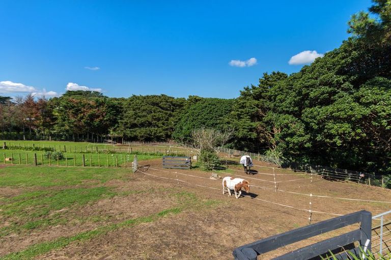 Photo of property in 1455 Awhitu Road, Pollok, Waiuku, 2684