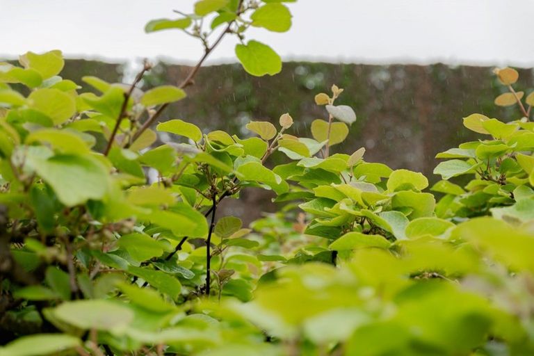 Photo of property in 837b Pyes Pa Road, Pyes Pa, Tauranga, 3173