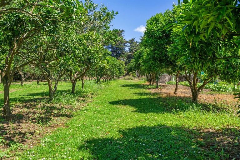 Photo of property in 529 State Highway 16, Kumeu, 0810