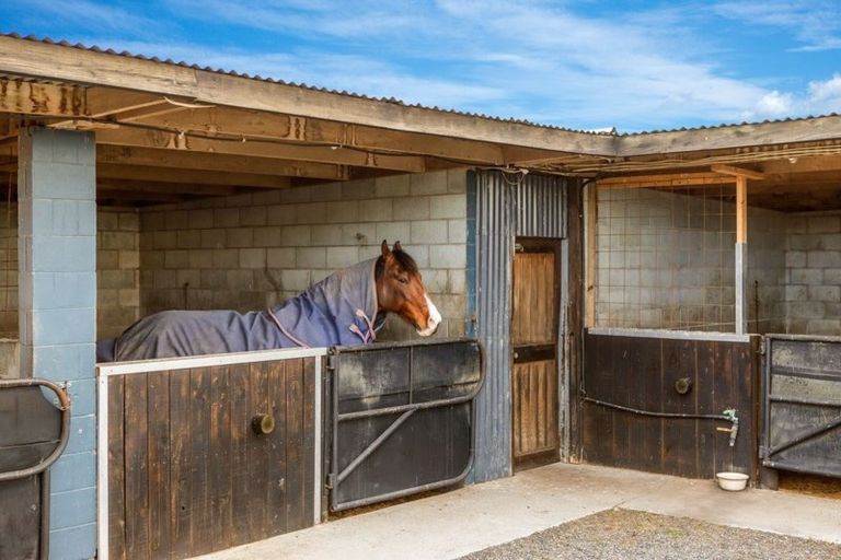 Photo of property in 856 Rang Leithfield Road, Leithfield, Amberley, 7481