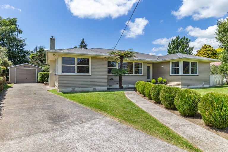 Photo of property in 17 Hobson Street, Levin, 5510